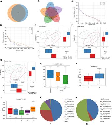 Fusobacterium nucleatum Affects Cell Apoptosis by Regulating Intestinal Flora and Metabolites to Promote the Development of Colorectal Cancer